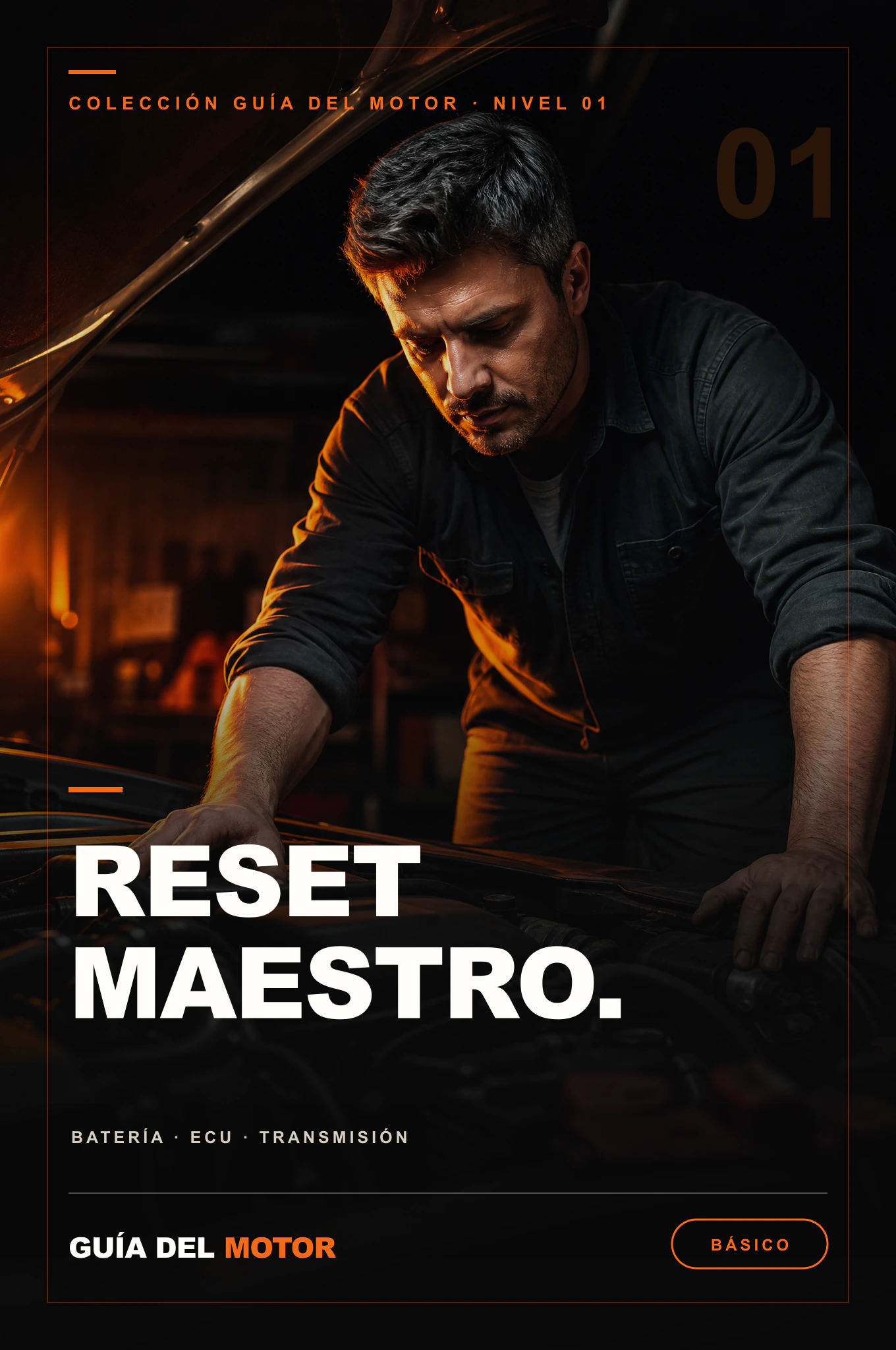 Portada de Reset Maestro