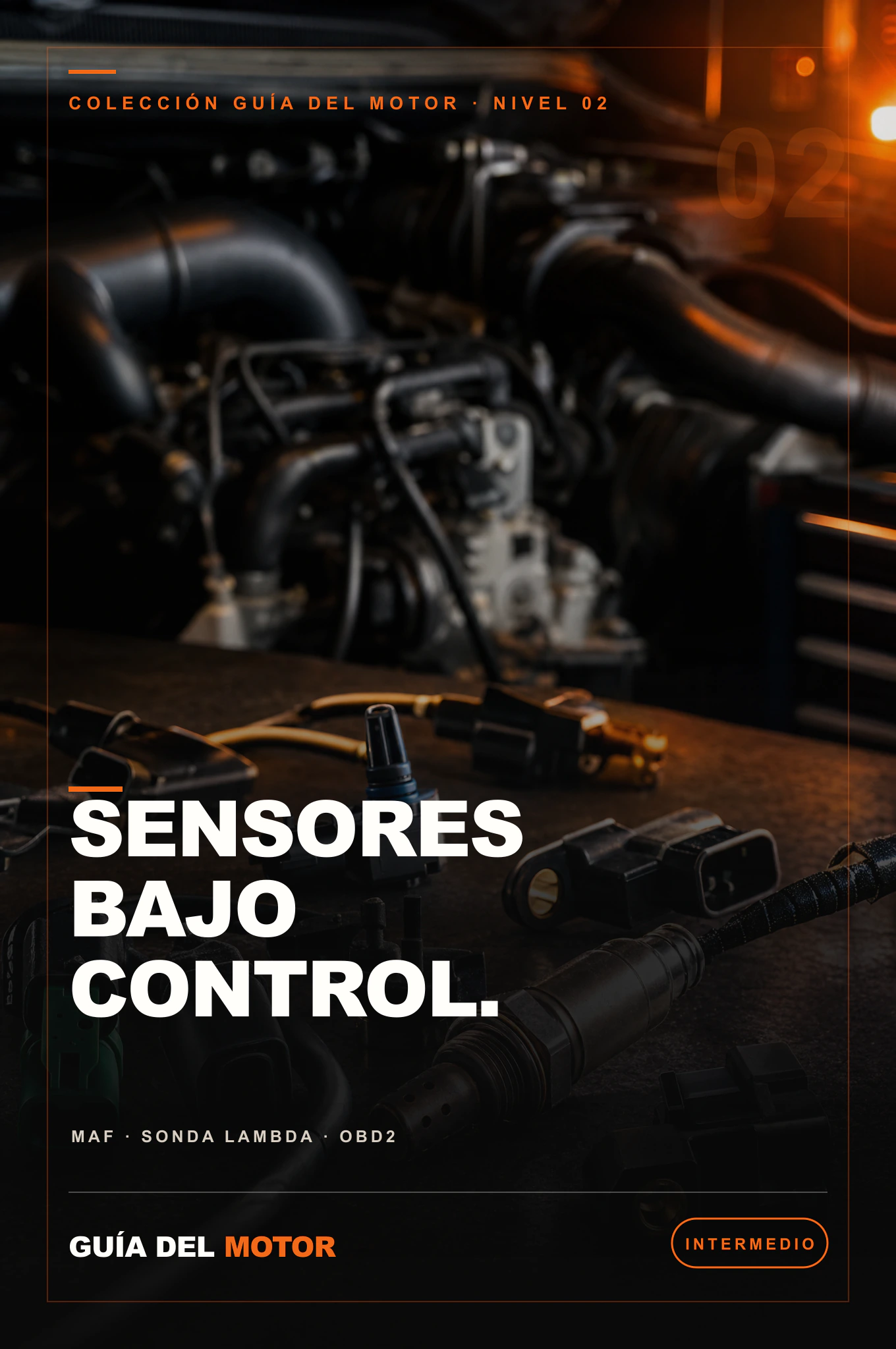 Portada de Sensores Bajo Control